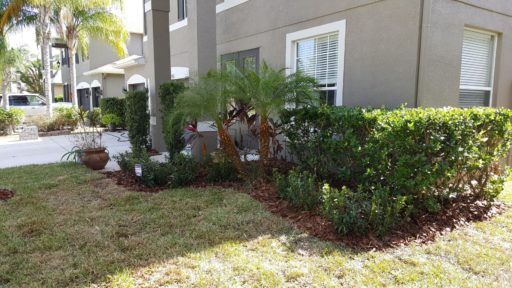 Landscaping Photo 05